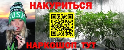 сатива Обнинск