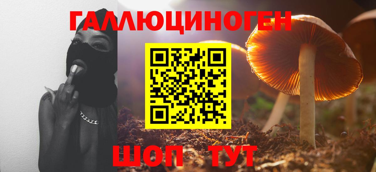 Шали  Псилоцибиновые грибы Magic Shrooms  Псилоцибиновые грибы MAGIC MUSHROOMS  Вход с VPN 